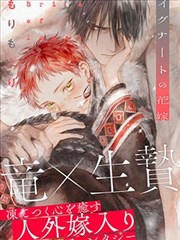 鹿特丹电影节评审团特别提及资讯配图